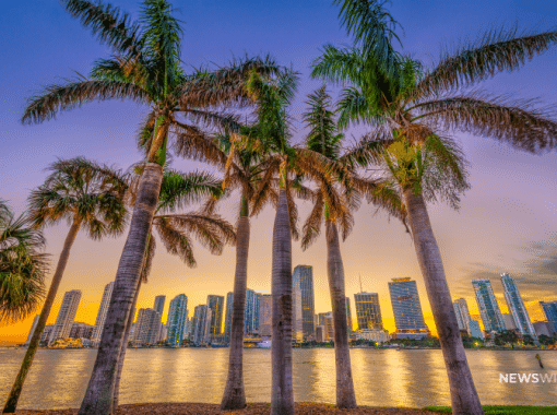 Picture of Florida coastline in Miami at dusk. Image used for a Newswire blog about the Top Media Outlets in Florida.