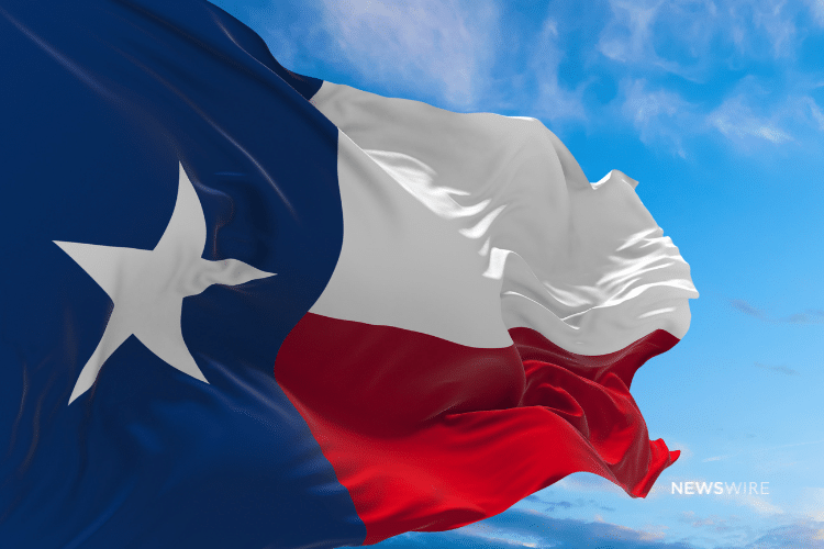 Picture of the Texas state flag. image used for a Newswire blog post about the top media outlets in Texas.