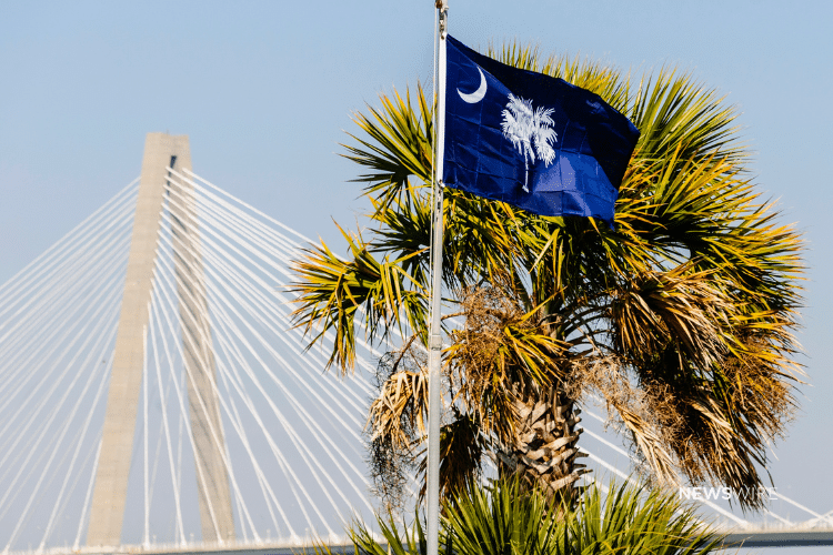 Picture of the South Carolina state flag and palm tree in front of the Arthur Ravenel Jr. Bridge. Image is being used for a Newswire blog post about the top media outlets in South Carolina