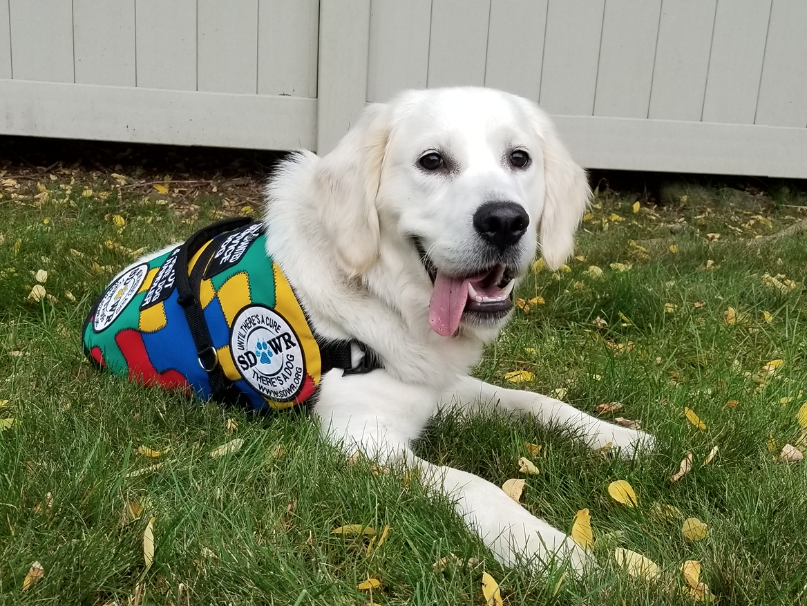 how to an autism service trained autism service to help five year child in springfield oregon newswire how to an autism service trained autism service to help five year child in springfield oregon newswire