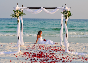 Myrtle Beach Wedding Planner Charleston Weddings Myrtle Beach