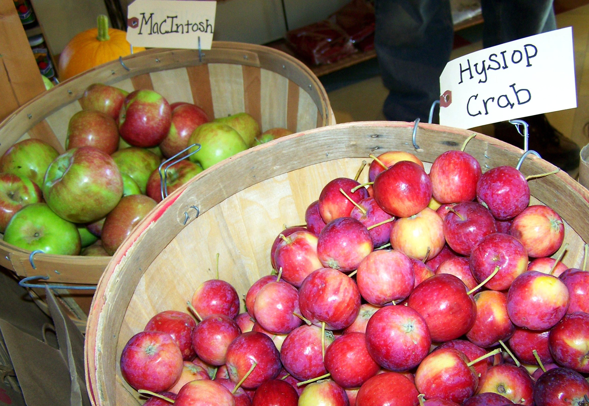 Julian Apple Days Festival Celebrates the Apple Harvest Newswire