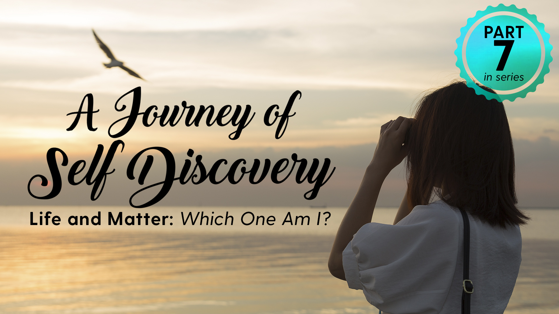 26+ Poems About Identity And Self Discovery Images