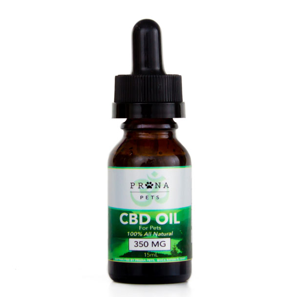 Cbd Oil To Treat Epilepsy In Dogs Cbd Oil To Treat Epilepsy In Dogs