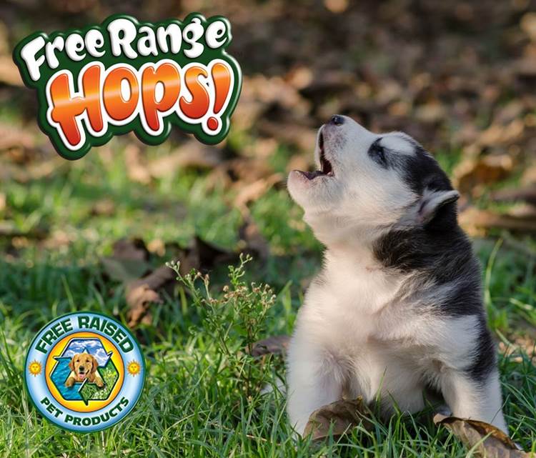 Free Range Hops! for Dogs It's Not Beer, Its Wild Hare Ears