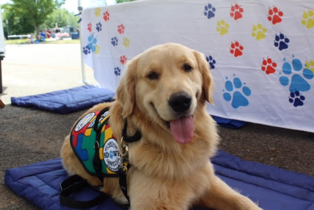 Service Dogs by Warren Retrievers Delivers Autism Service