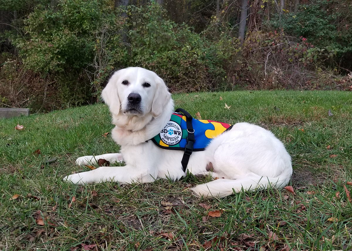 how to an autism service autism service delivered to assist 4 year boy in hamburg erie news now how to an autism service autism service delivered to assist 4 year boy in hamburg erie news now