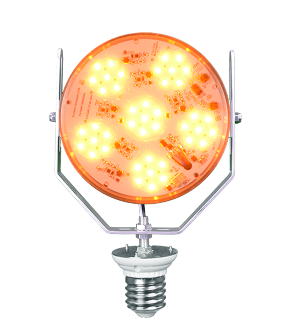 Sea Turtle Season Is Here Global Tech LED Has TurtleSafe LED