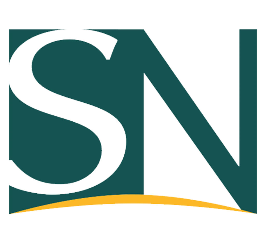 Stambaugh Ness Announces Strategic Repositioning Newswire